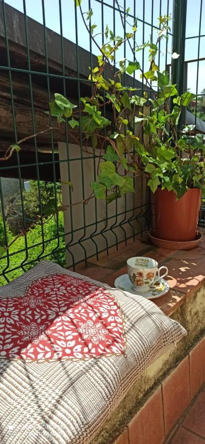 فيلا Casa Ernesto-Amica Dei Ciclisti Acquasparta المظهر الخارجي الصورة